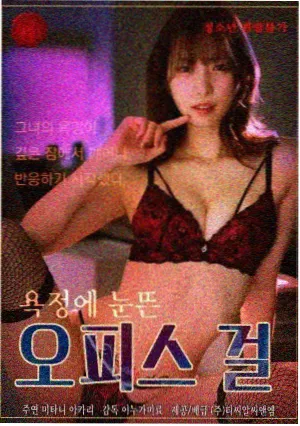 大明王朝1566剧集修复